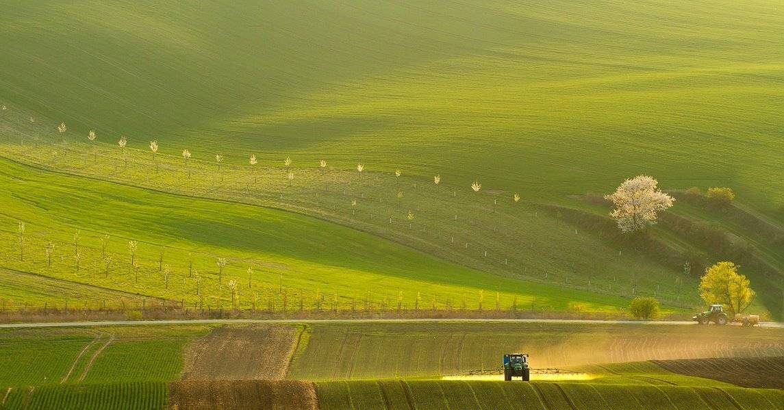 Moravian tuscany, Franti&scaron;ek Uhler