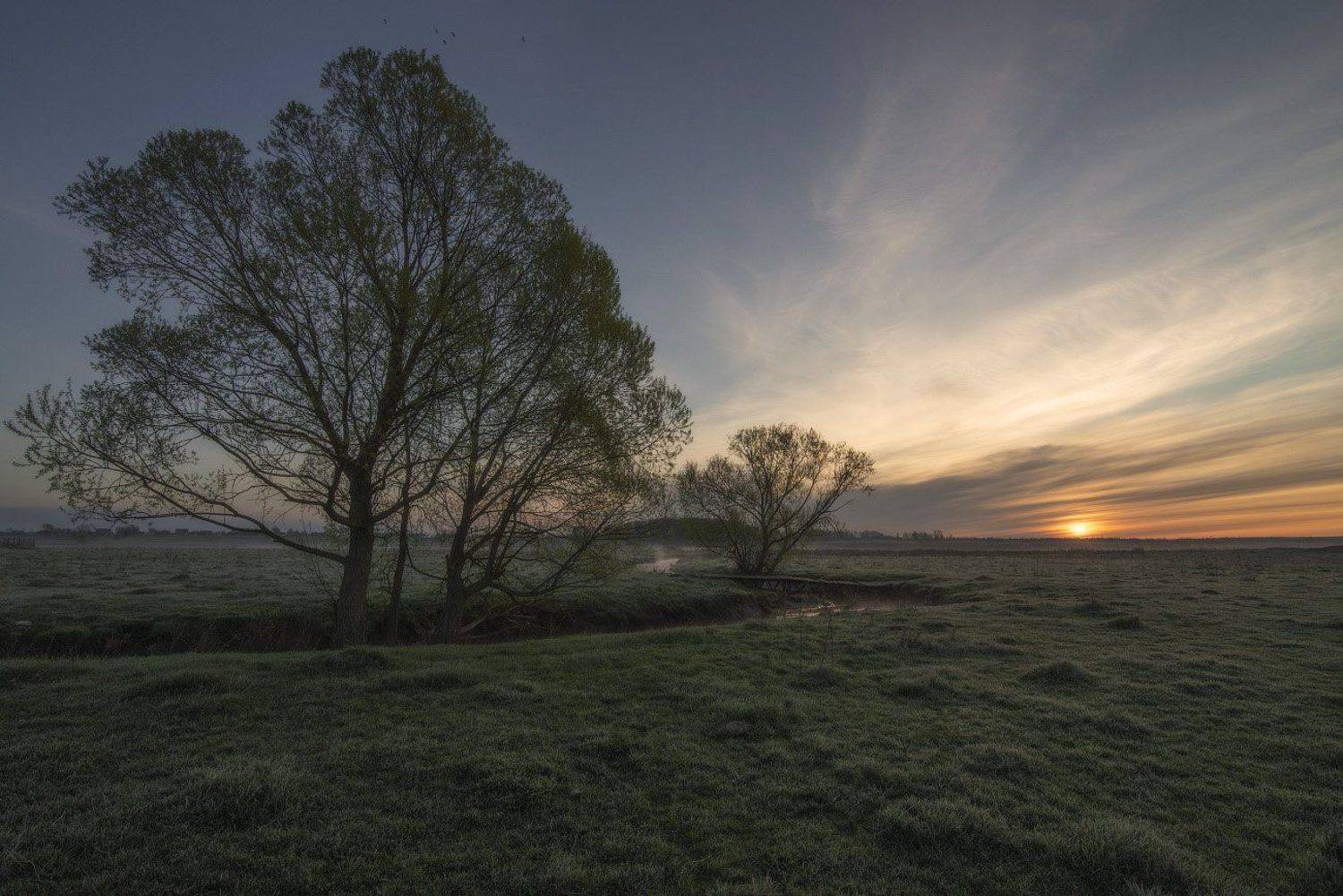 , Сергей Добровольский