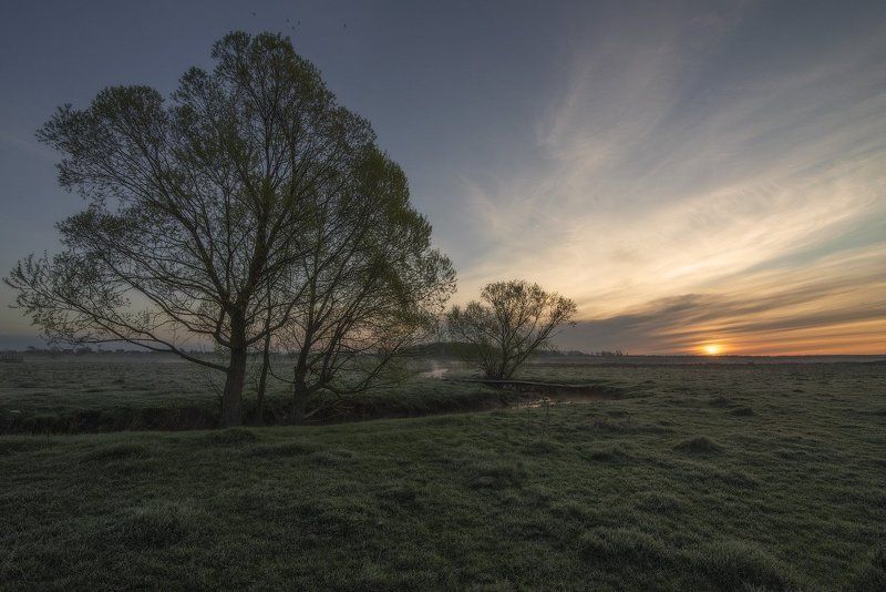Весенние птицы фото превью