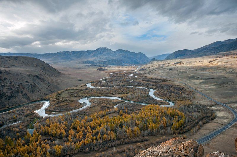 чуйская степь, красная горка, река чуя, лиственницы, тополя, осень, горный алтай, кош-агач Pro другой Алтай - Красная горка фото превью