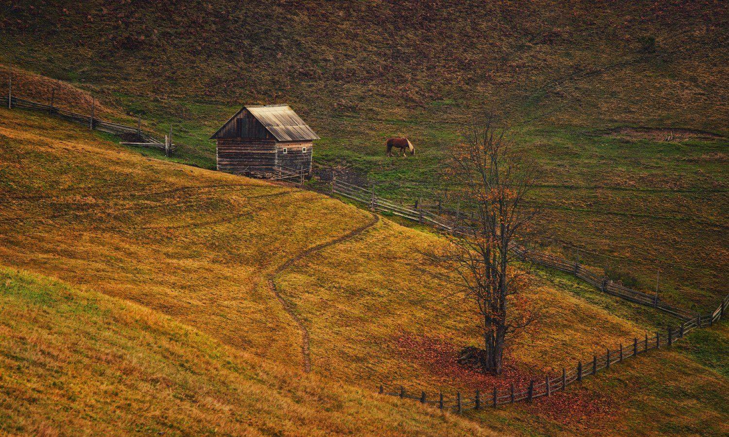 горы, домик, осень, лошадка, Вьюшкин Игорь