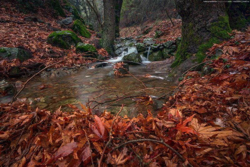 осень, желтый, парк, листья, красный, лес, горы, вода, дерево, золото, лист, оранжевый, темный, водопад, долины, драматический, Кипр, кедр, январь, Троодос, Трипилос, Романов Entrance to Cedar valley фото превью