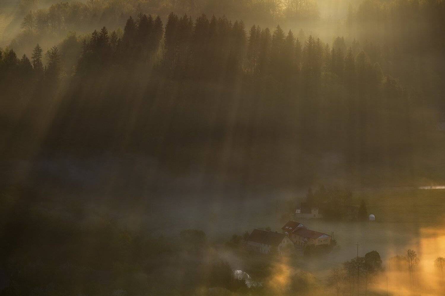 landscape,canon,mist,light,spring, Iza,Darek