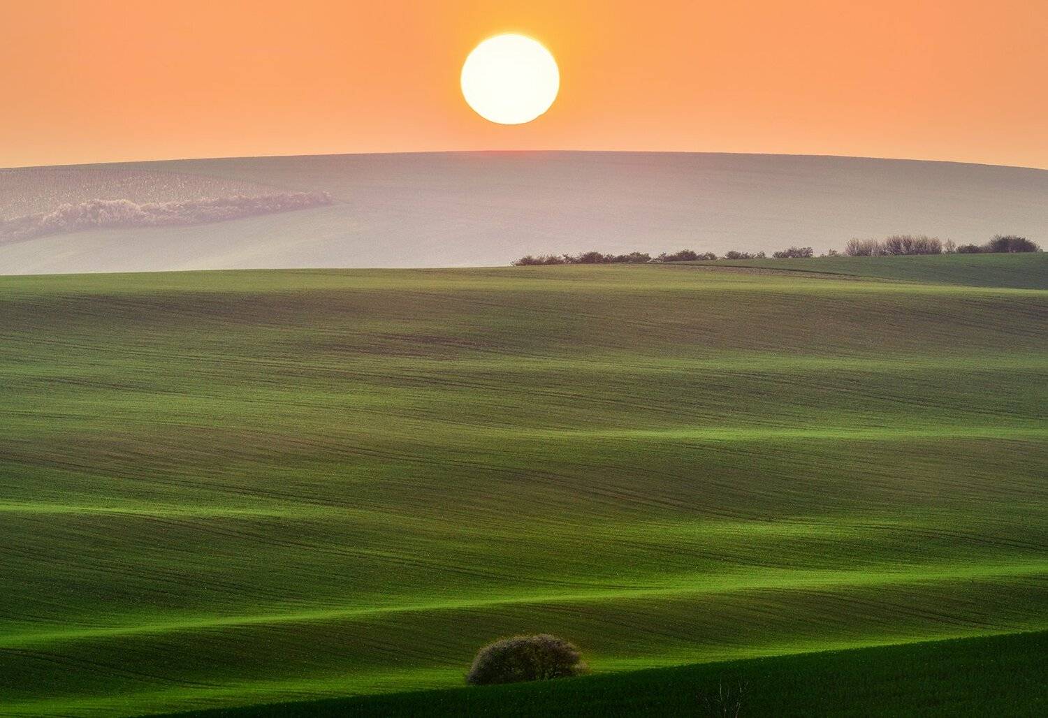 Colored fields. Автор: KIM SUK EUN , KIM SUK EUN
