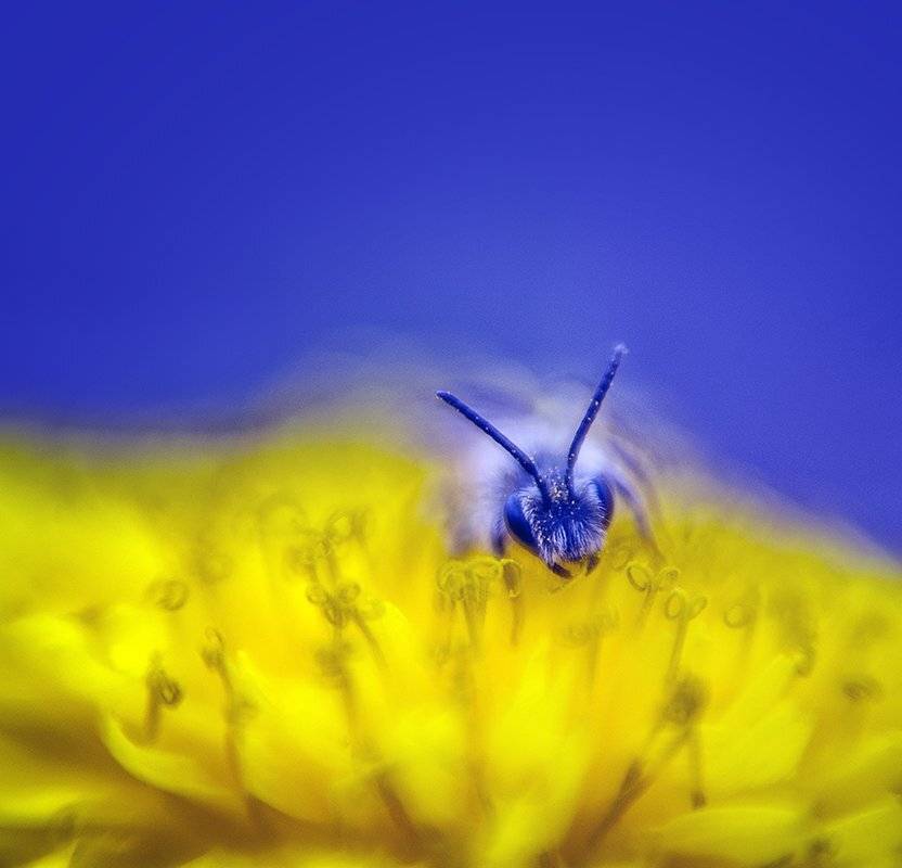 meopta stigmar 50/0,7, Татьяна Аверина