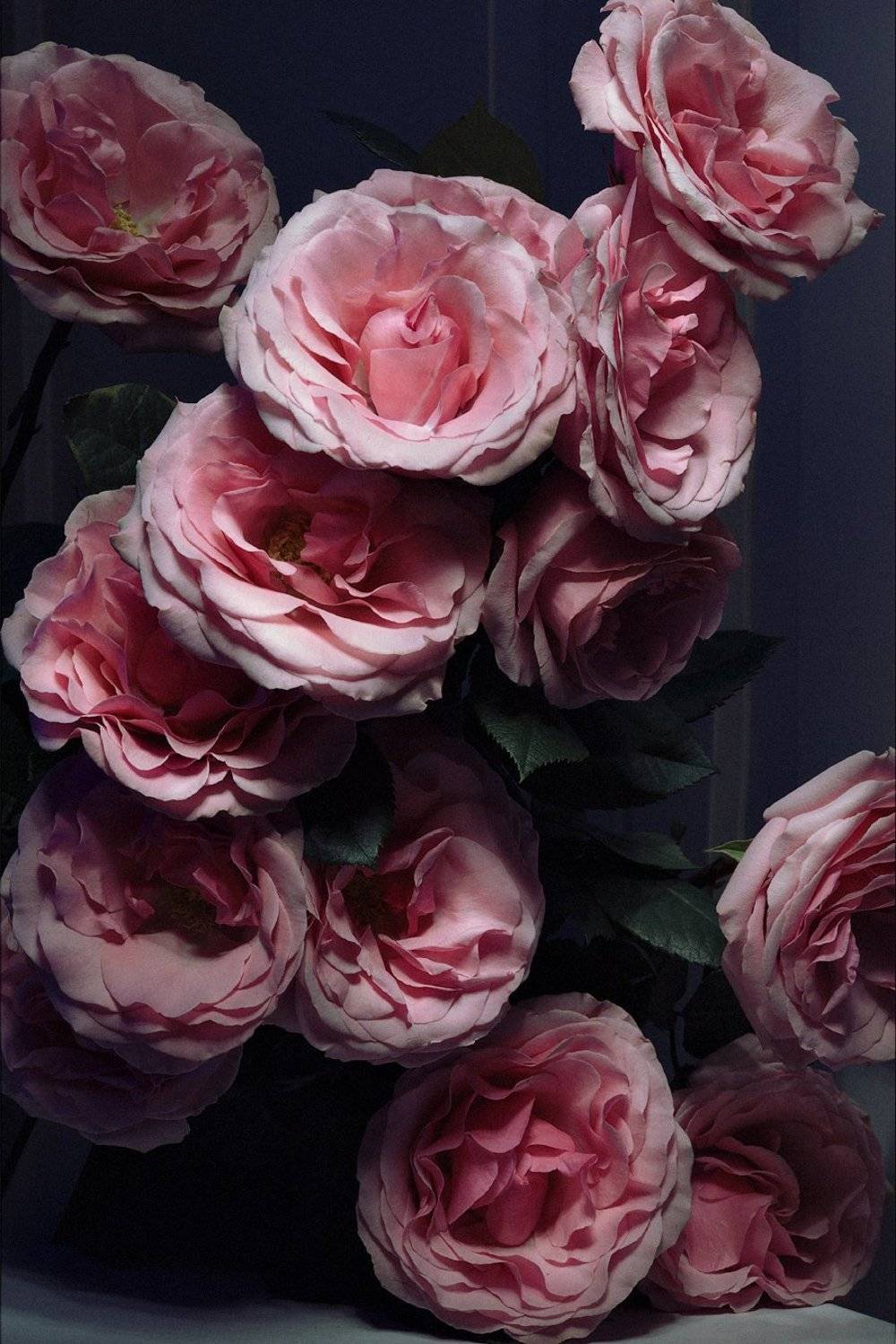 , Кокорев Илья