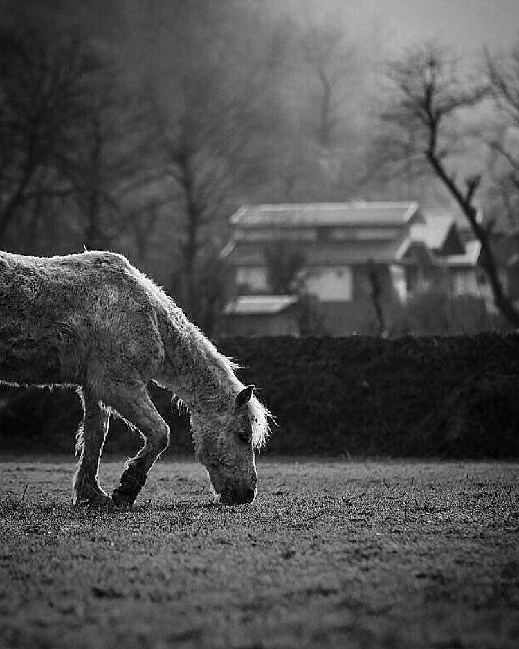 #hosseinmehrzad, hosseinmehrzad, #man, #cloudly, #bnw, #fine_art, #sky, #cloud, #mehrzad_photo, #hossein_mehrzad, #black_and_white, #b&w, #editing, #photoshop, #creative, #photo_art, #digital, #mehrzad, #photography, #creative_art, #consept_art, #freedom,, Hossein Mehrzad