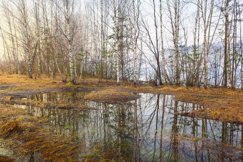 Прозрачная весна