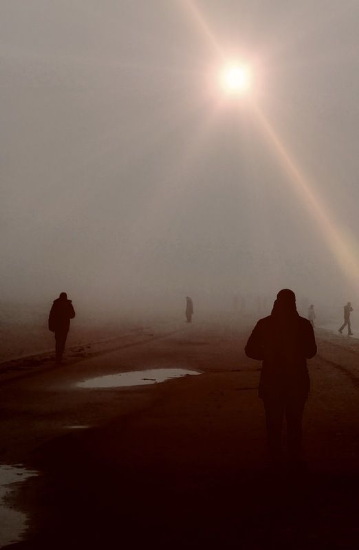 Palanga фото превью