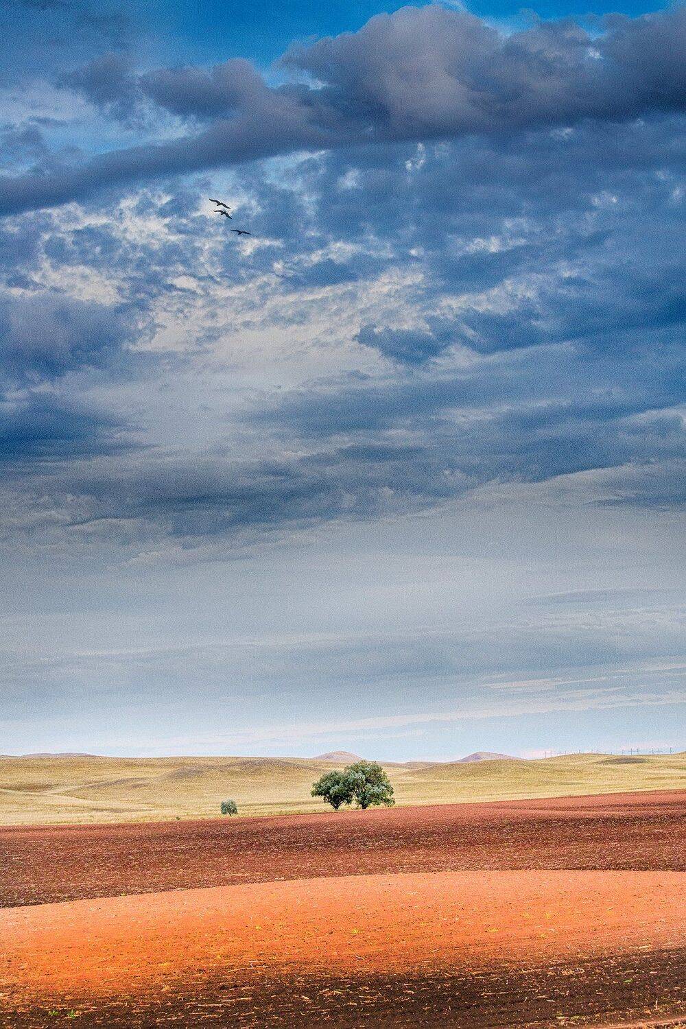 орск оренбургская обл. качурин, Качурин Алексей