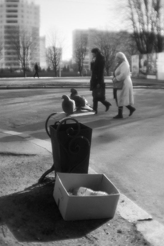 **** фото превью