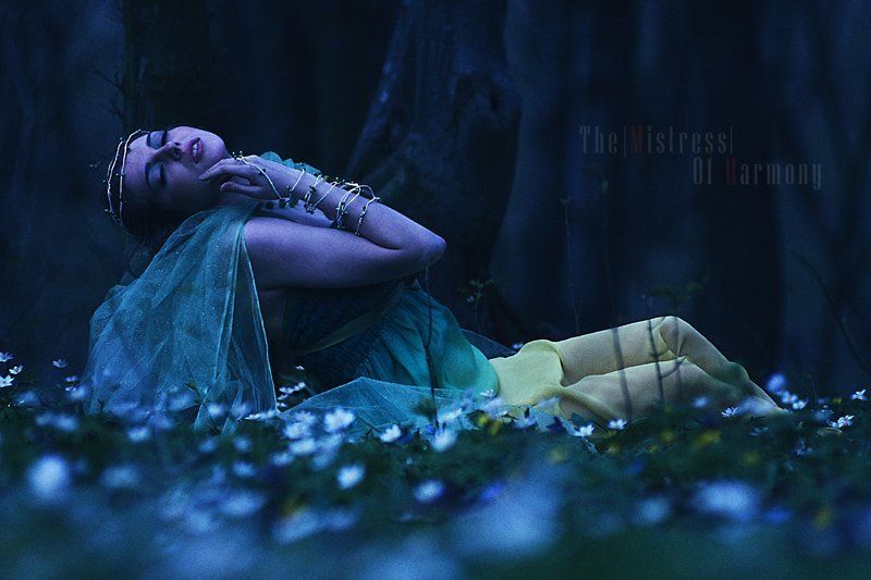 The Mistress of Harmony фото превью