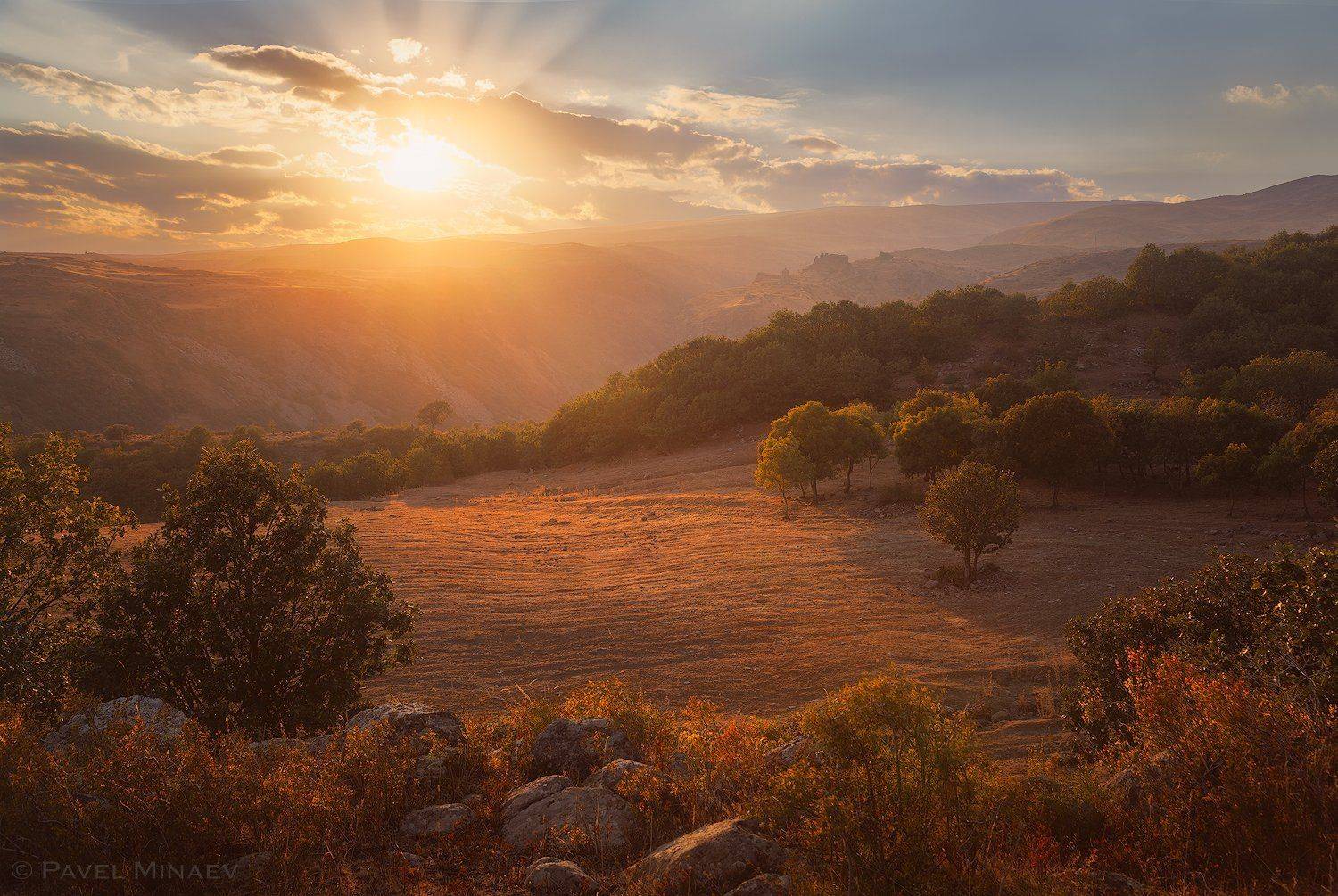 , Минаев Павел
