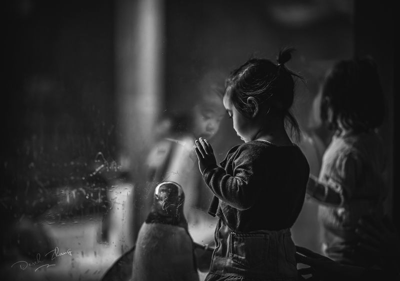 hello Mr. penguin фото превью