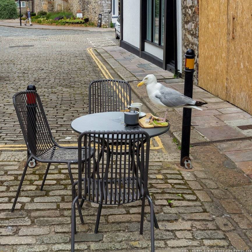 , Алексей Лобанов