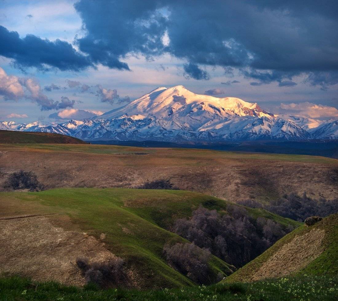 , Елена Брежицкая