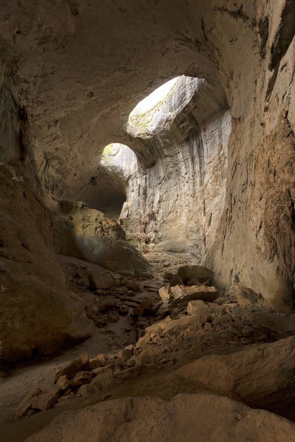 , Александър Сандев