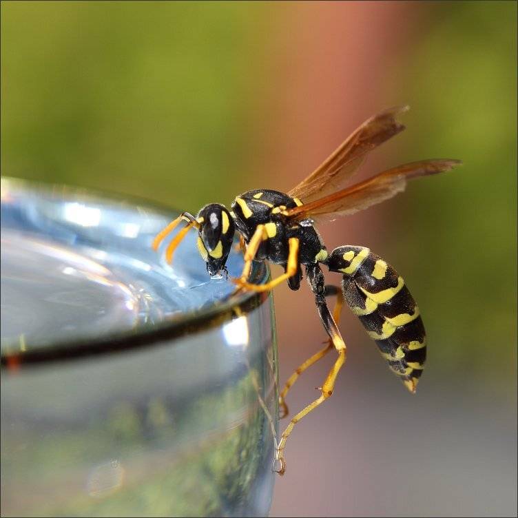 , Сергей Фудиненко