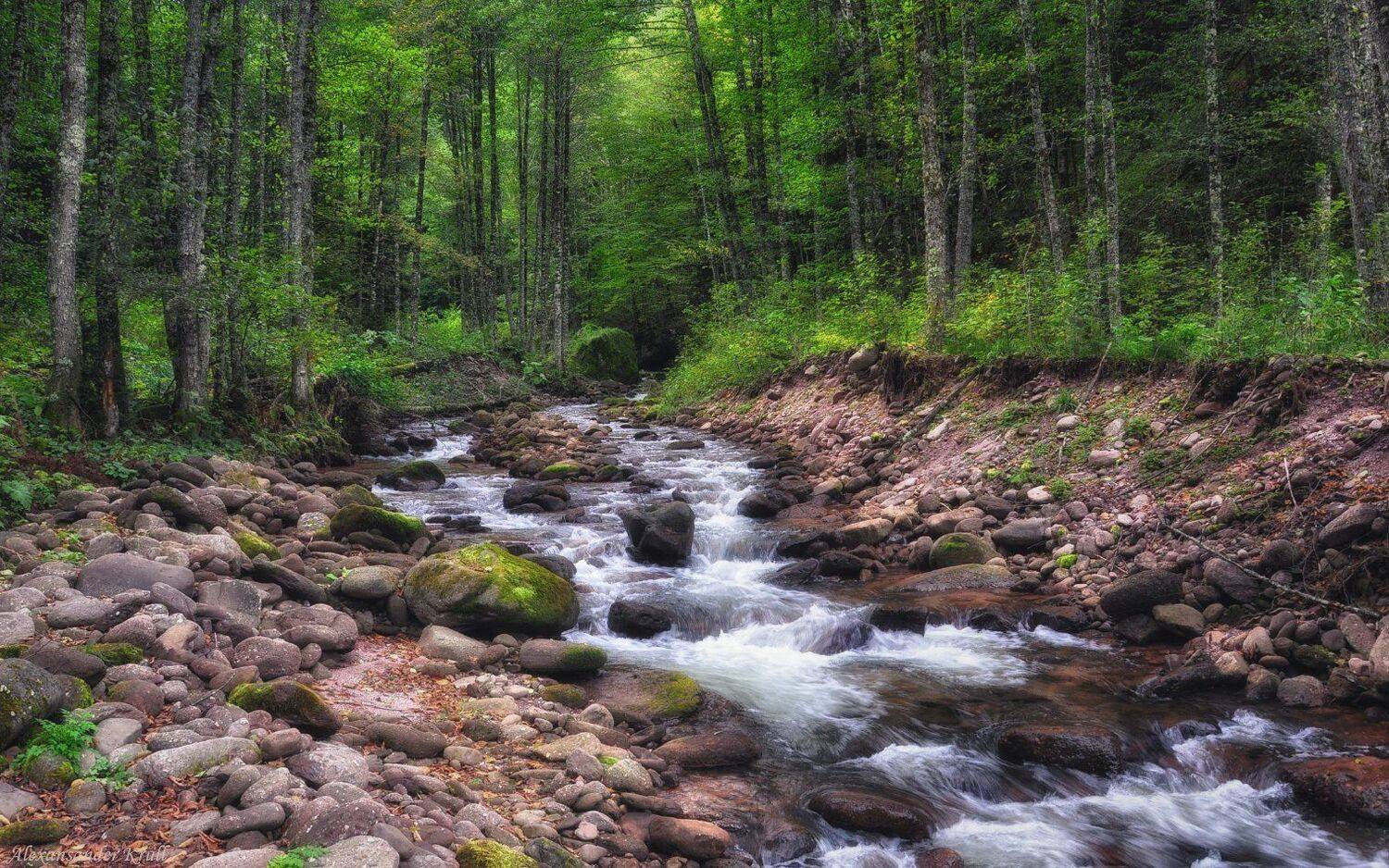 кавказ, кчр, шантацара, Александр Круль