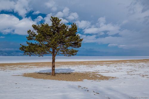 Пляжи бывают разными