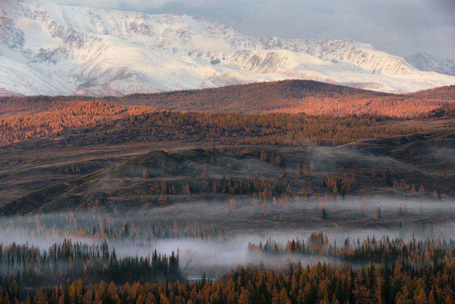 , Сергей Ершов