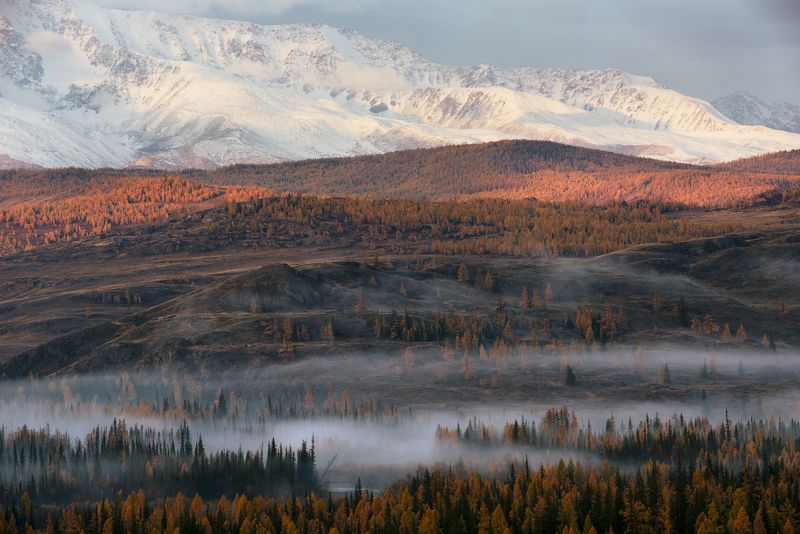 утренний туман в Курайской степи  фото превью