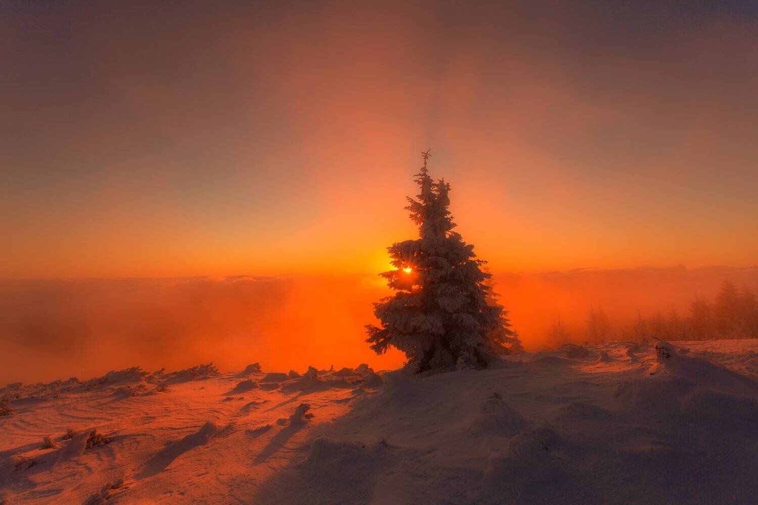 landscape,canon,winter,sunrise, Iza,Darek