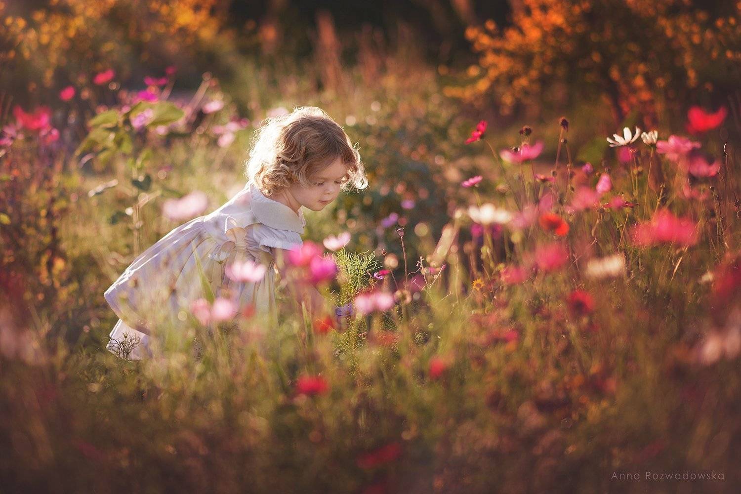garden, girl, meadow, vintage,, AnnaRozwadowska