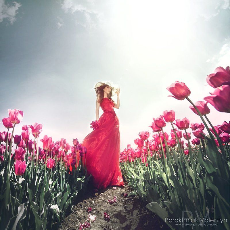 фото превью