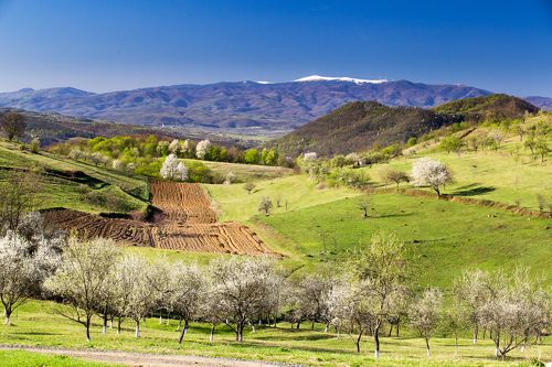 Spring in Transylvania
