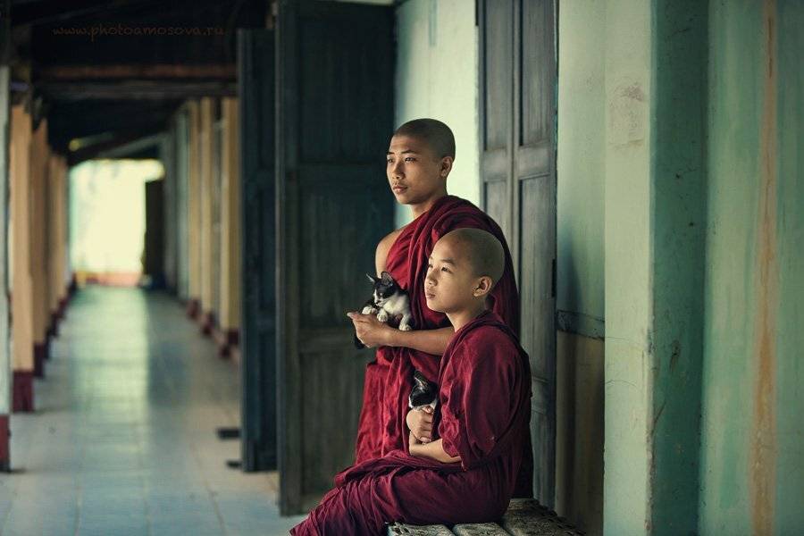 , Ирина Амосова