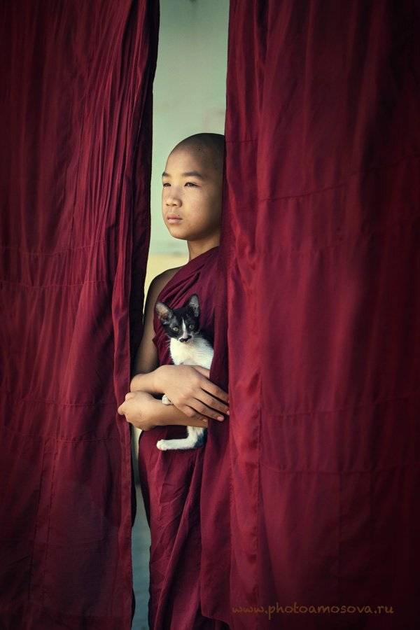 , Ирина Амосова