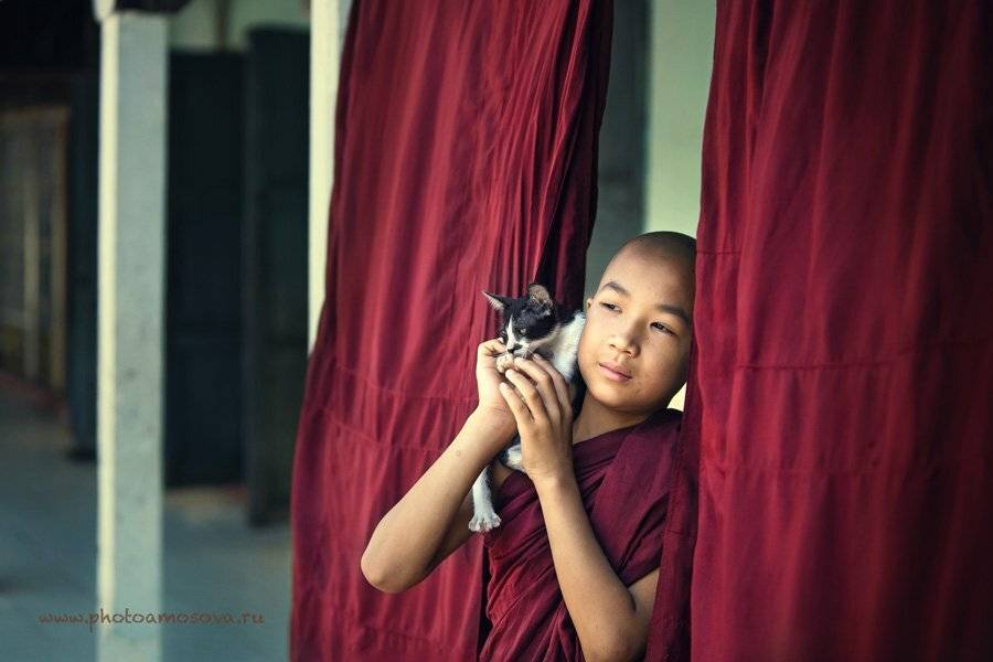 , Ирина Амосова