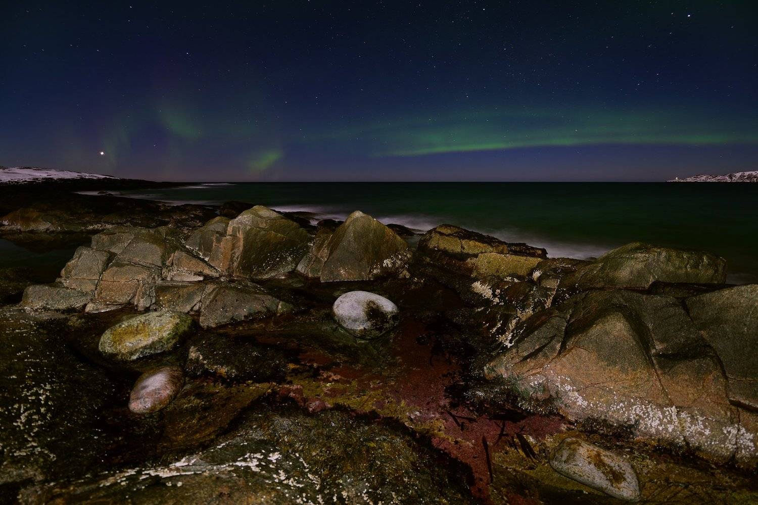 , Максим Евдокимов ( www.wildphotorus.ru )