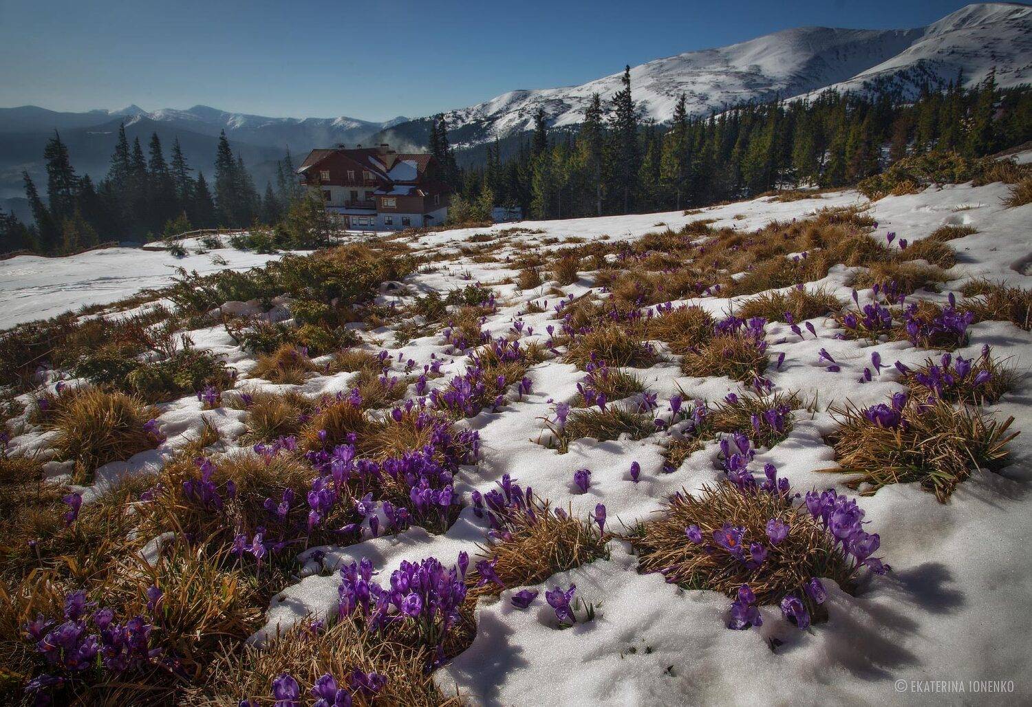 , Екатерина Ионенко