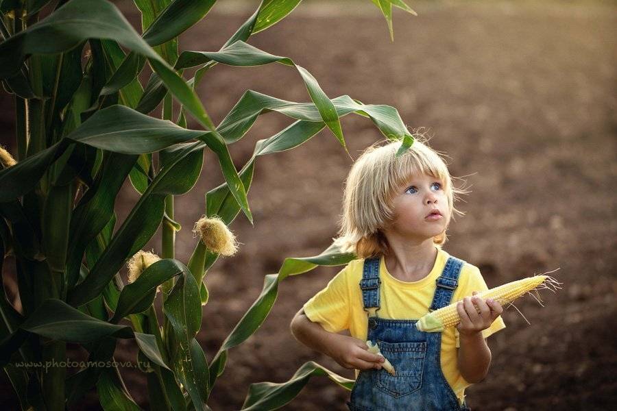 , Ирина Амосова