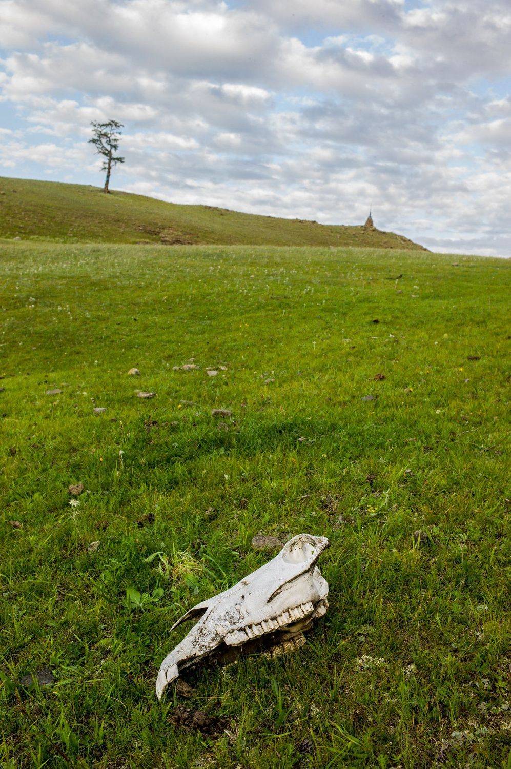 Монголия, Михаил Дронов