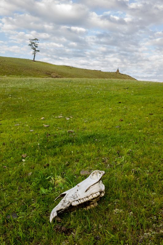 Монголия *** фото превью