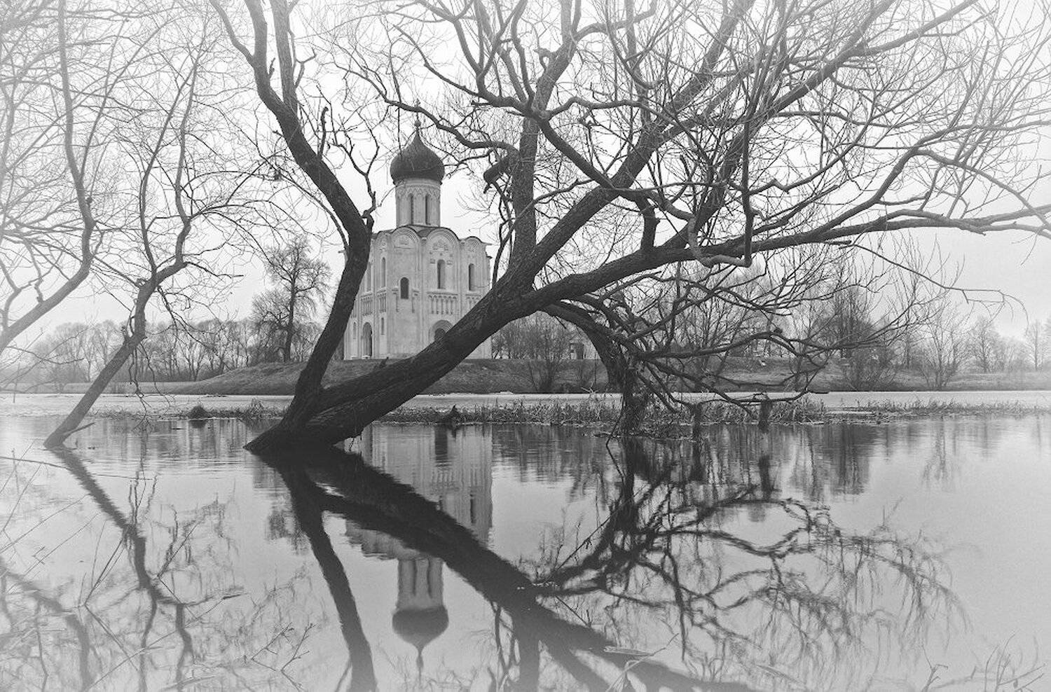 нерль разлив половодье боголюбово весна, Игорь Шиленок