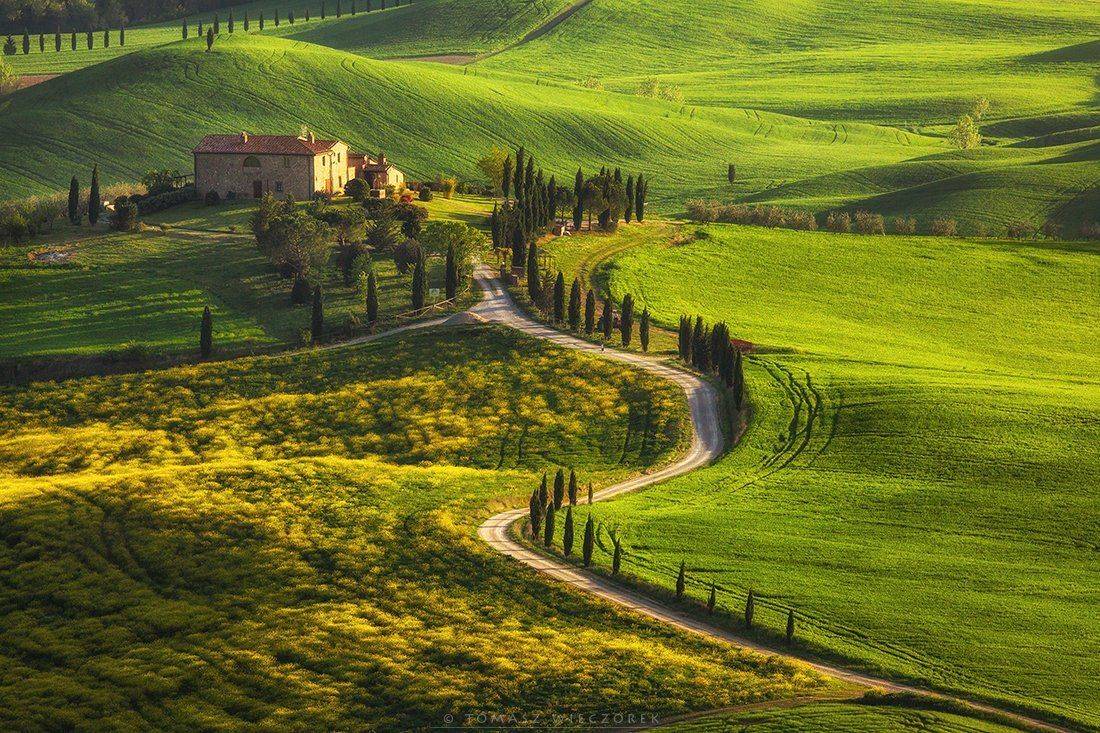 tuscany, toskania, toscany, italia, italy, morning, sunrise, fields, spring, light, gladiator, road, Tomasz Wieczorek