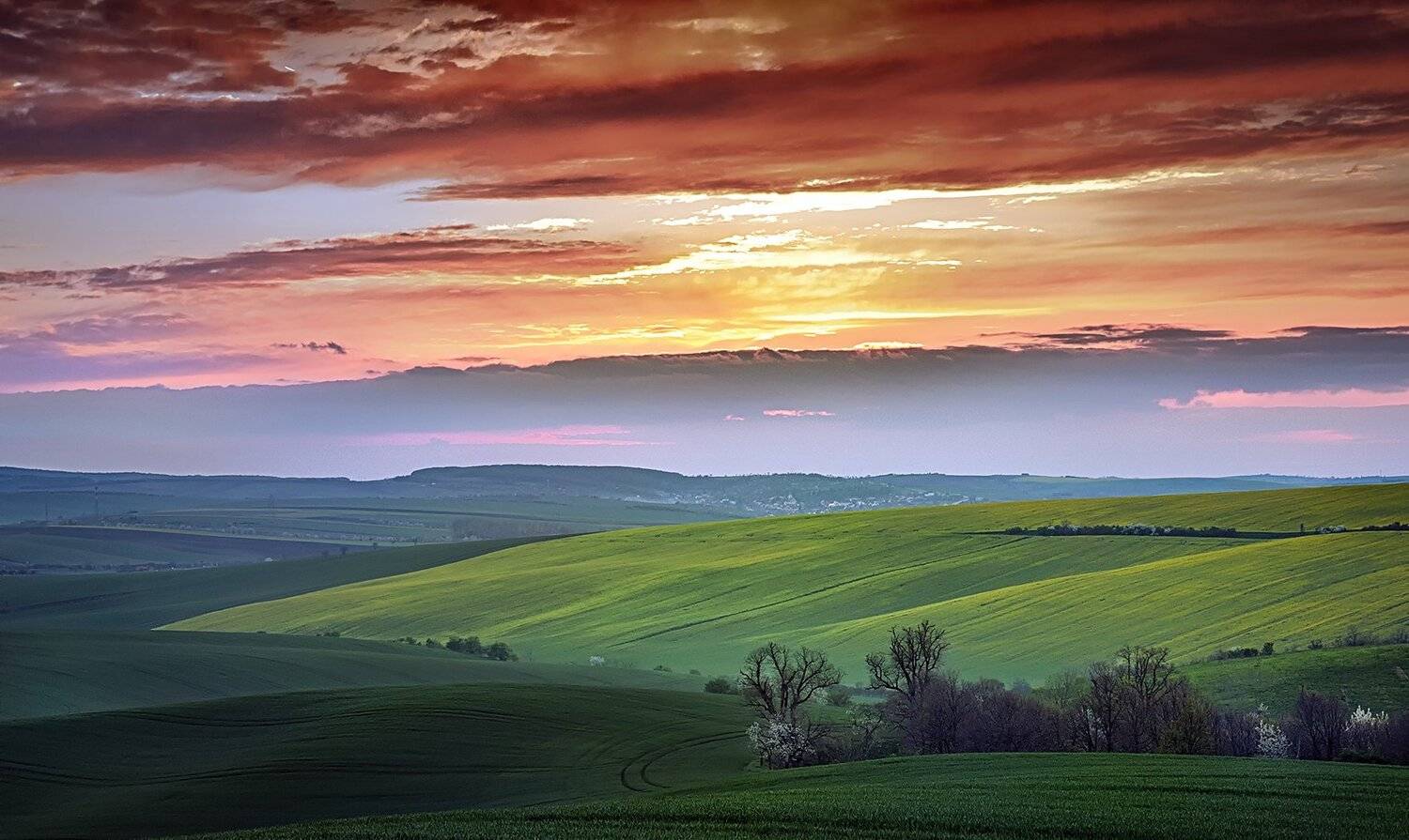 Tuscany under a red sky. Автор: KIM SUK EUN , KIM SUK EUN