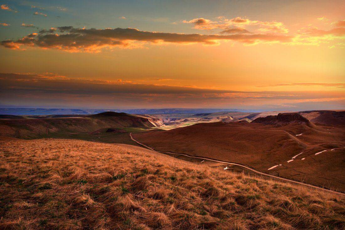 , Елена Брежицкая