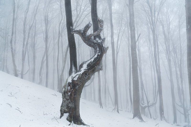 Волшебная гора фото превью