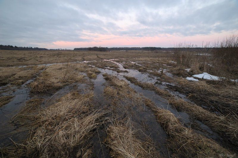 поле, весна, лужа, закат Поле фото превью