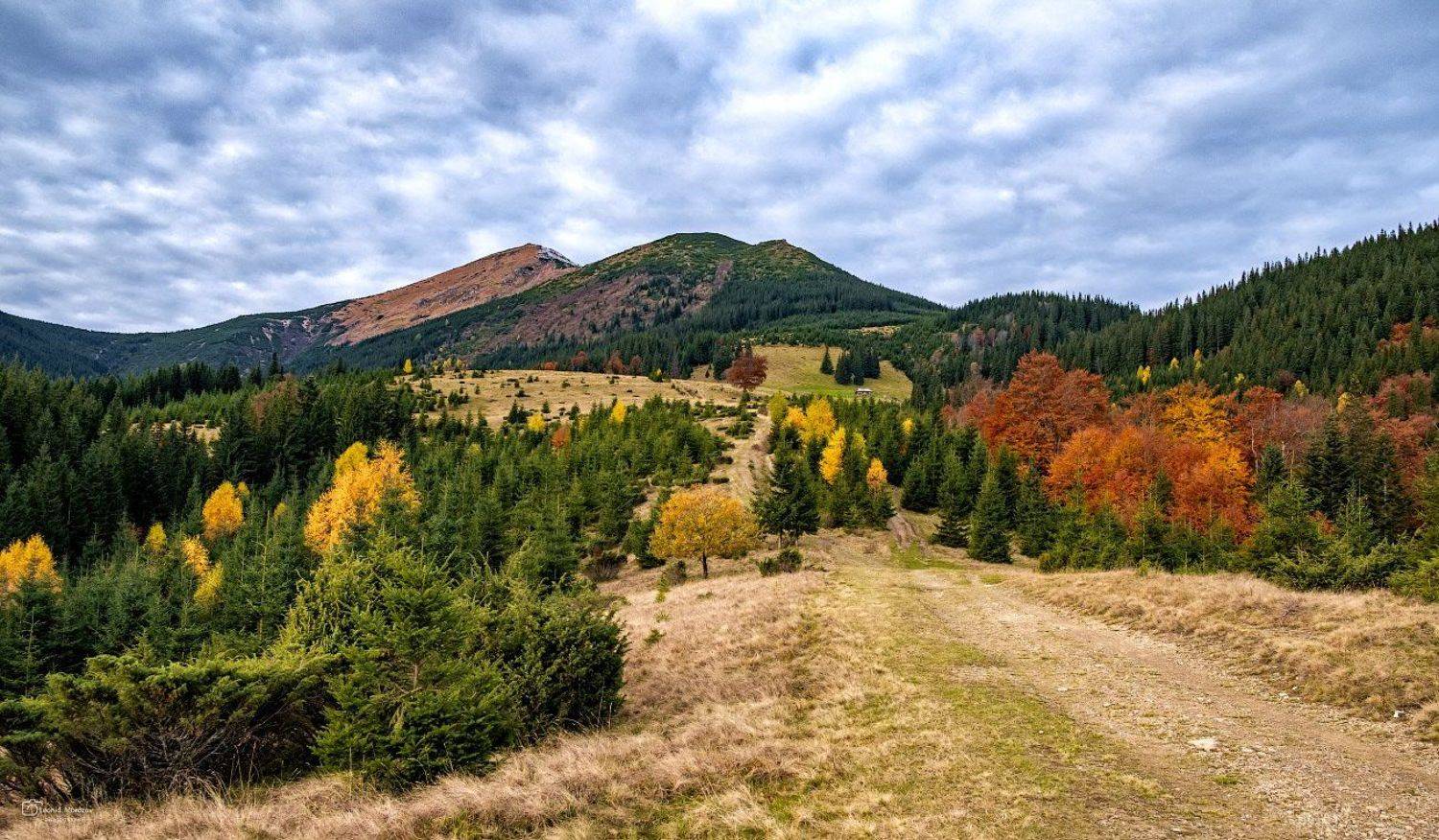 , Леонид Морозов