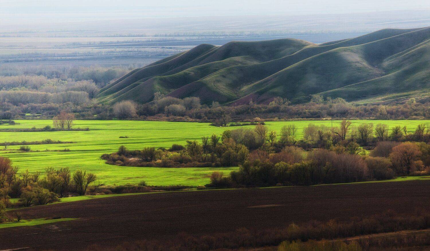, Павел Сагайдак