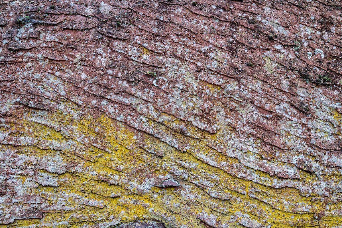 , Алексей Лобанов