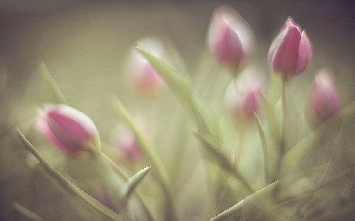 , Татьяна Аверина