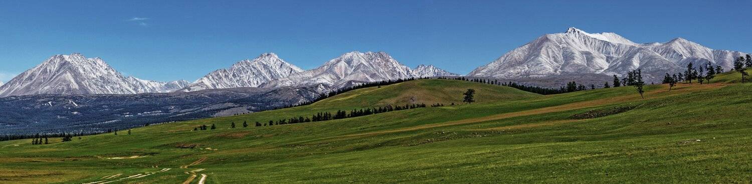 , Сергей Низовцев