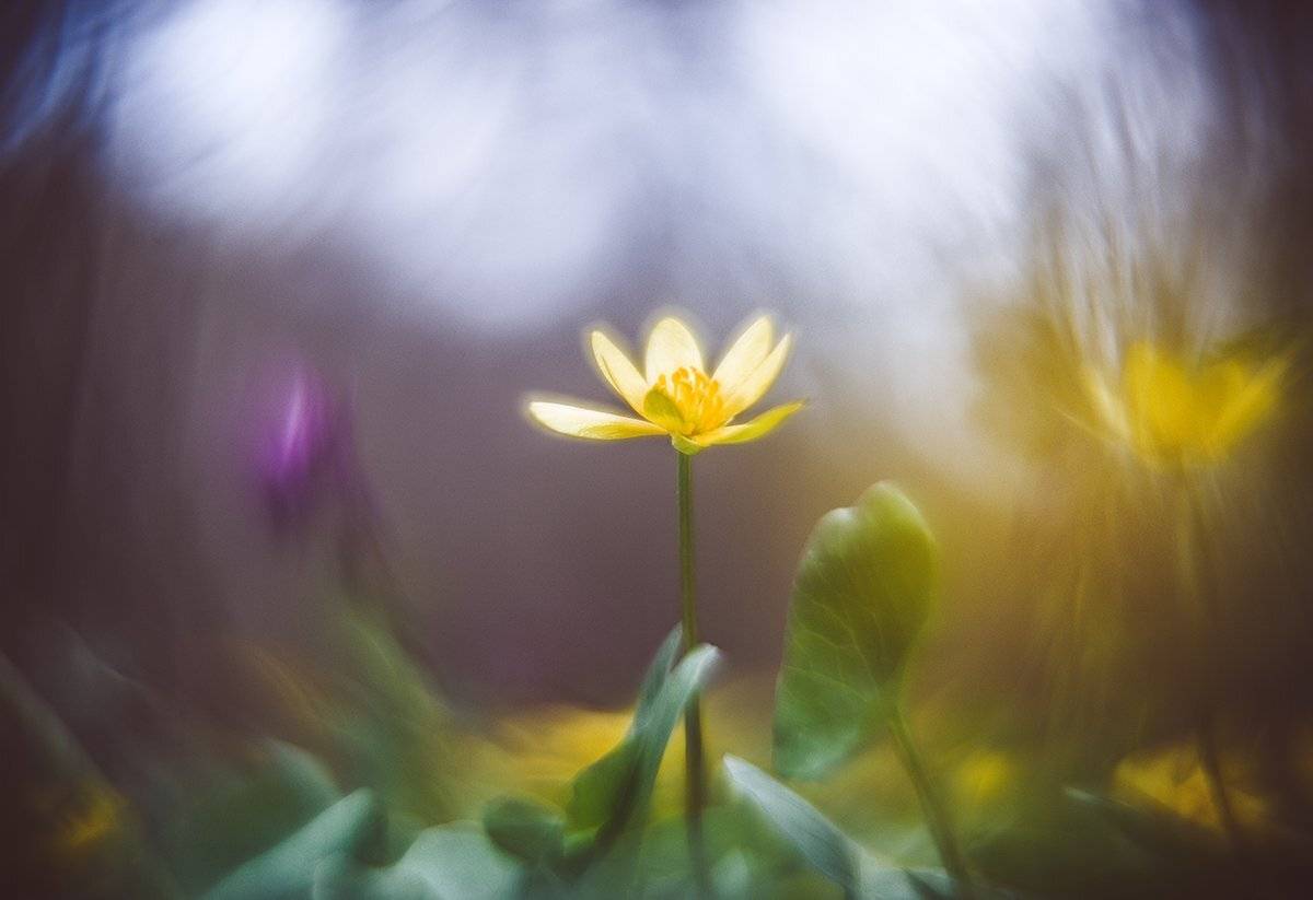 , Татьяна Аверина